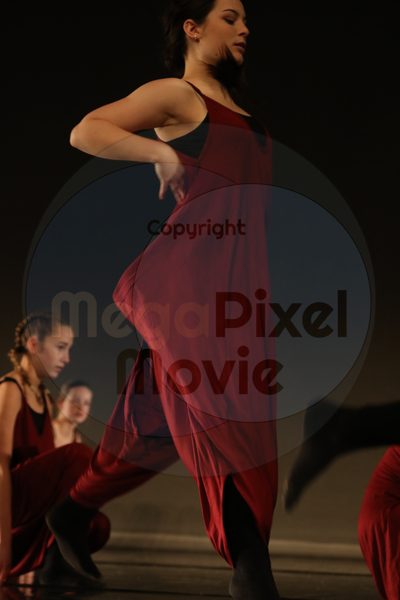 Dorothy Stringer Show - Image 7700