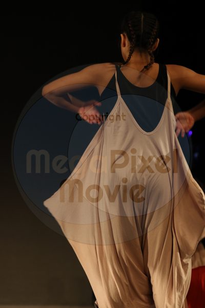 Dorothy Stringer Show - Image 7709