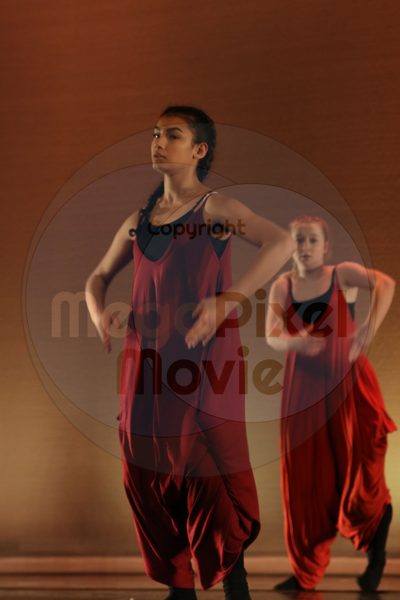 Dorothy Stringer Show - Image 7782