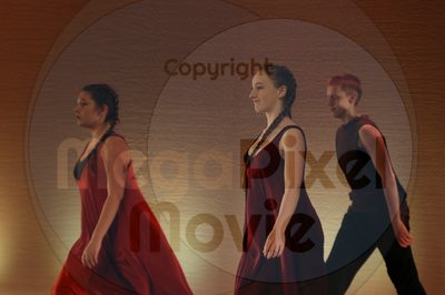 Dorothy Stringer Show - Image 7873