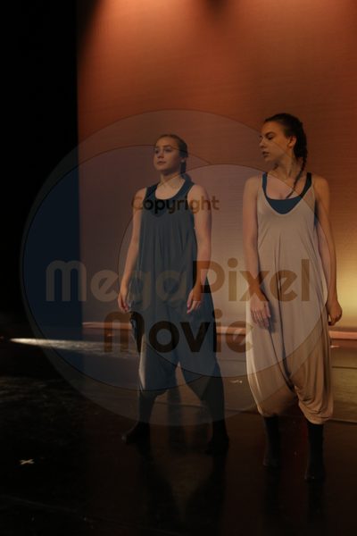 Dorothy Stringer Show - Image 7928