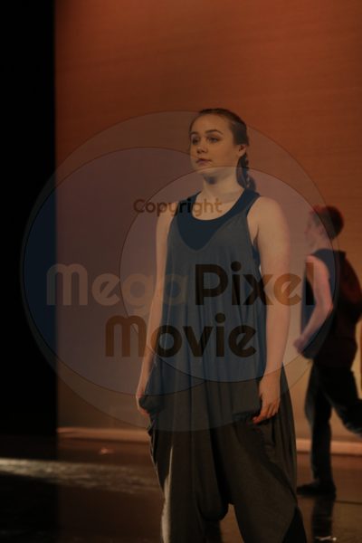 Dorothy Stringer Show - Image 7930