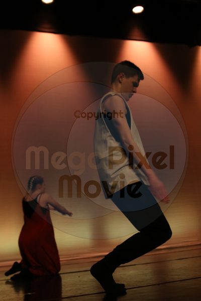 Dorothy Stringer Show - Image 8020