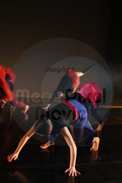 Dorothy Stringer Show - Image 8319