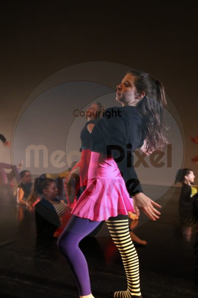 Dorothy Stringer Show - Image 8424