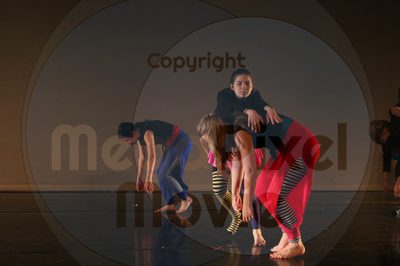 Dorothy Stringer Show - Image 8465