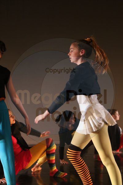 Dorothy Stringer Show - Image 8626