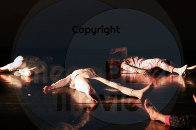 Let's Dance - Image 8889