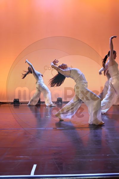 Let's Dance - Image 696A3213