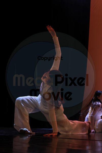 Let's Dance - Image 696A3357