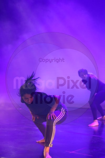 Let's Dance - Image 8630
