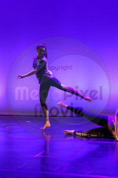 Let's Dance - Image 8995