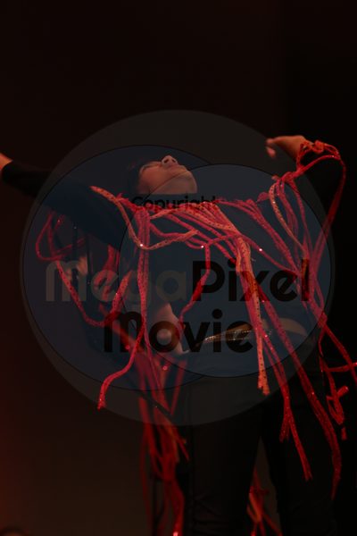 Let's Dance - Image 1524