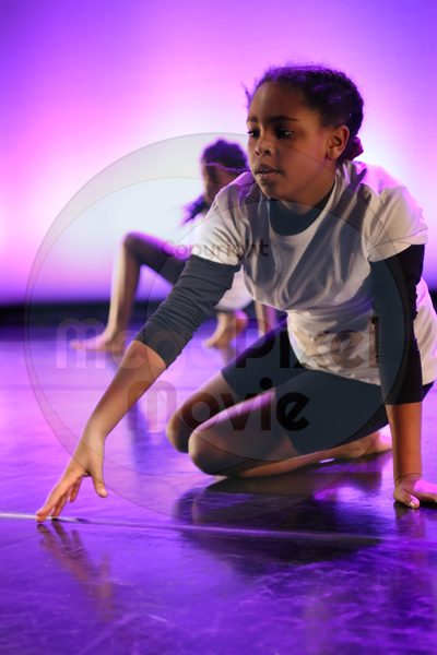 Let's Dance - Image 7319