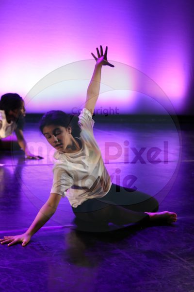 Let's Dance - Image 7565