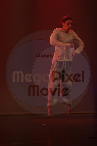 Let's Dance - Image 4529
