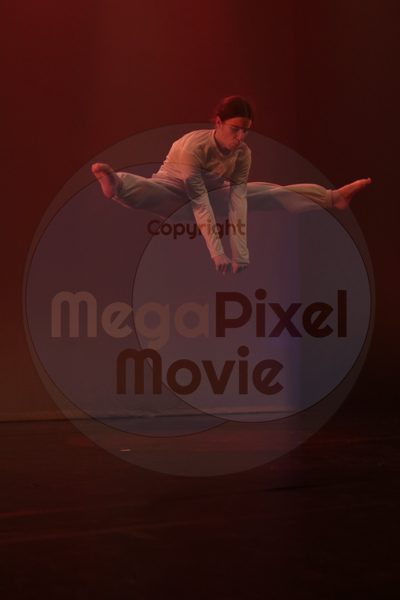 Let's Dance - Image 4530