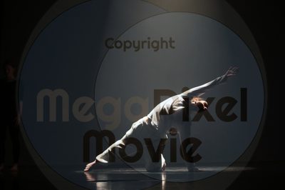 Let's Dance - Image 4609