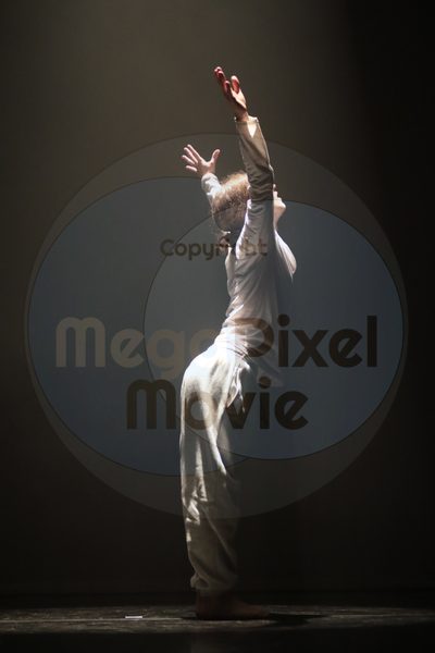 Let's Dance - Image 4622