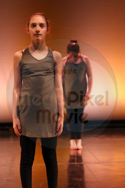 Let's Dance - Image 7504