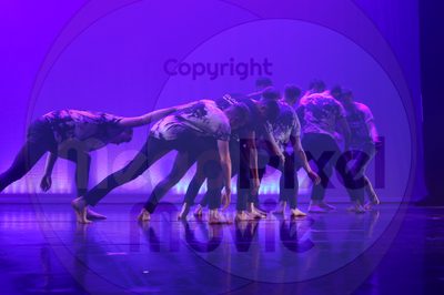 Let's Dance - Image 3533