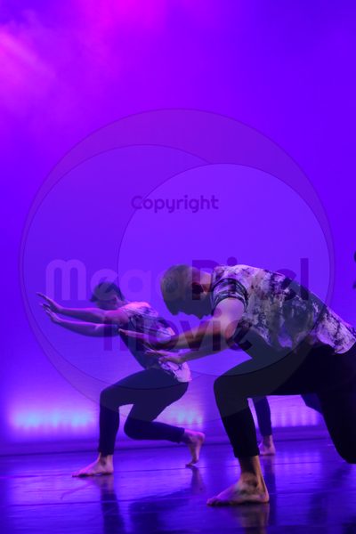 Let's Dance - Image 3580