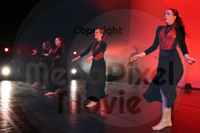 Let's Dance - Image 696A8993