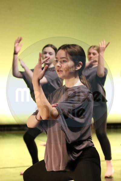 Let's Dance - Image 6374
