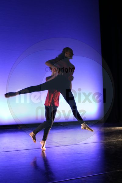 Let's Dance - Image 6407
