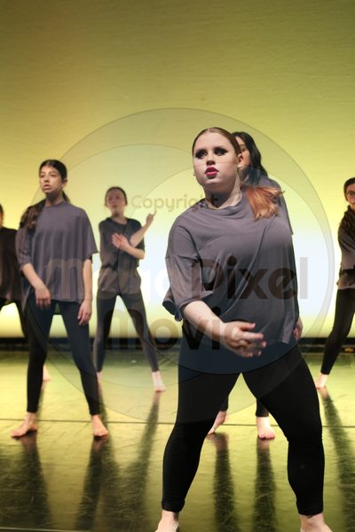 Let's Dance - Image 6446