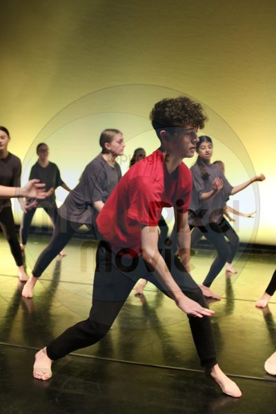 Let's Dance - Image 6456