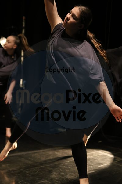 Let's Dance - Image 6500