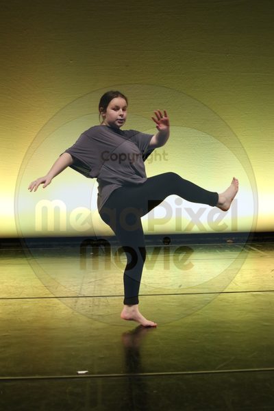 Let's Dance - Image 6528