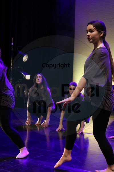 Let's Dance - Image 6603