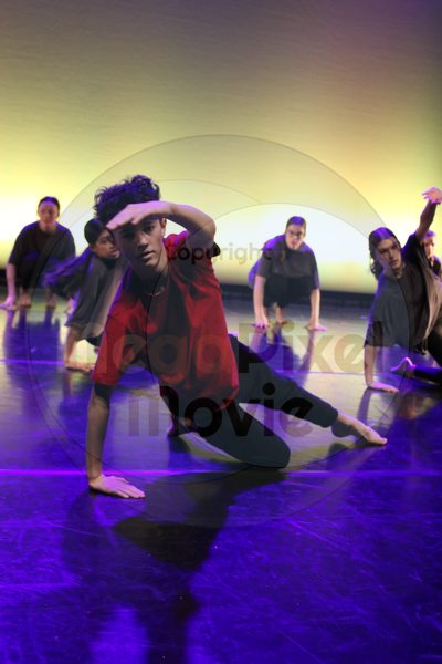Let's Dance - Image 6634