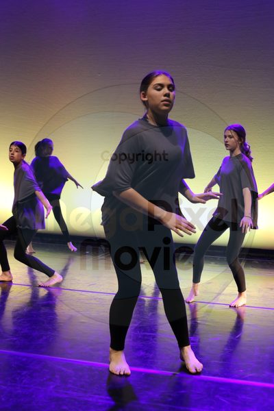 Let's Dance - Image 6645