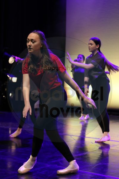 Let's Dance - Image 6671