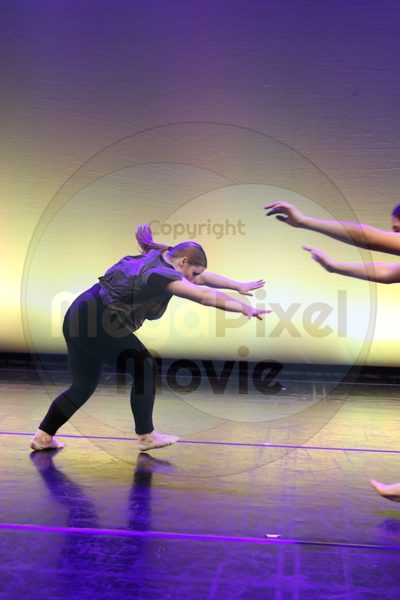 Let's Dance - Image 6729