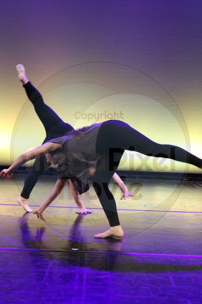 Let's Dance - Image 6730