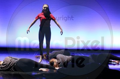 Let's Dance - Image 6816
