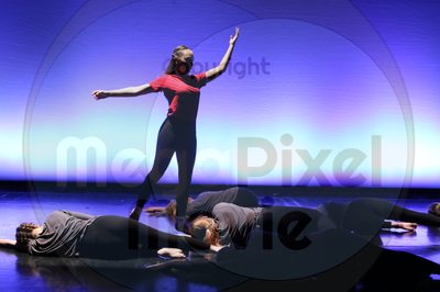 Let's Dance - Image 6819