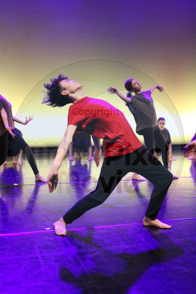 Let's Dance - Image 6976