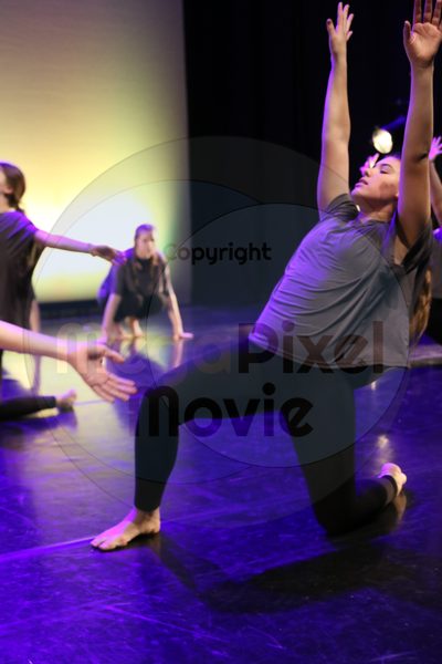 Let's Dance - Image 6985