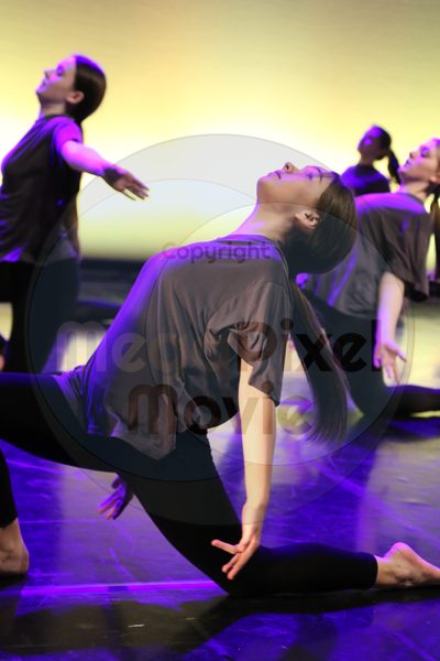 Let's Dance - Image 7003