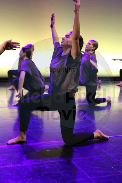 Let's Dance - Image 7005