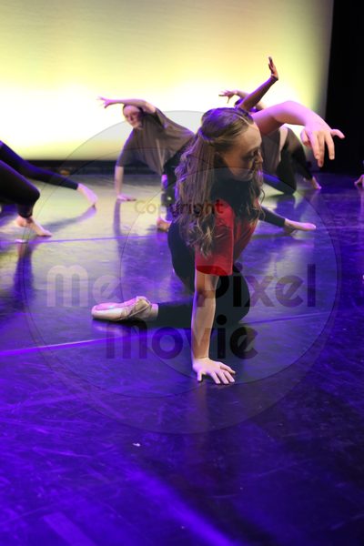Let's Dance - Image 7009