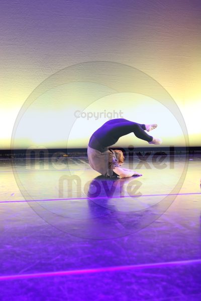 Let's Dance - Image 7050