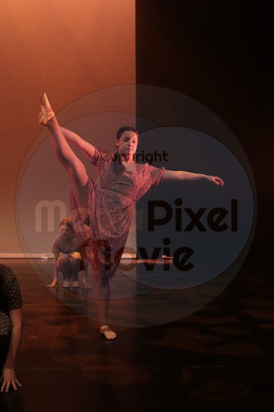 Let's Dance - Image 6671