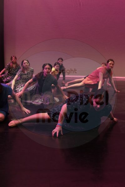 Let's Dance - Image 6684