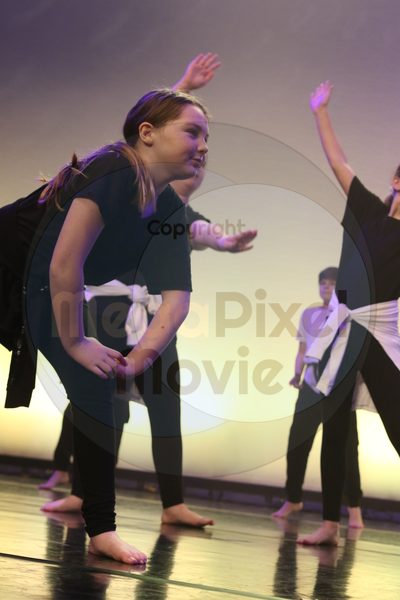 Let's Dance - Image 6984